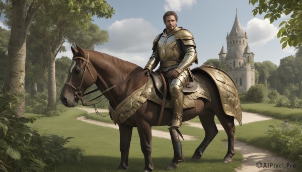 solo,brown hair,1boy,male focus,boots,outdoors,sky,day,cloud,armor,tree,blue sky,facial hair,grass,shoulder armor,gauntlets,nature,scenery,beard,pauldrons,breastplate,armored boots,riding,greaves,horse,castle,knight,horseback riding,plate armor,reins,saddle,looking at viewer,short hair,holding,brown eyes,signature,animal,cloudy sky,forest,realistic,fantasy,bush,path