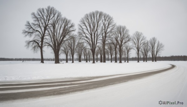 A striking snowy day featuring the elegance of a unique subject