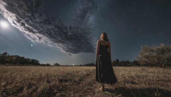 1girl,solo,long hair,brown hair,black hair,dress,bare shoulders,standing,outdoors,sky,barefoot,sleeveless,cloud,medium hair,from behind,black dress,tree,night,moon,grass,star (sky),nature,night sky,scenery,starry sky,facing away,field,wide shot,bare arms,sleeveless dress,cloudy sky,arms at sides,sun,hill