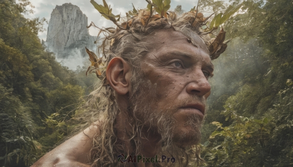 solo,blue eyes,1boy,closed mouth,male focus,outdoors,horns,sky,day,tree,facial hair,leaf,portrait,nature,scenery,beard,forest,mountain,realistic,antlers,old,old man,long hair,blonde hair,cloud,from side,sunlight,cloudy sky,close-up,looking afar,laurel crown