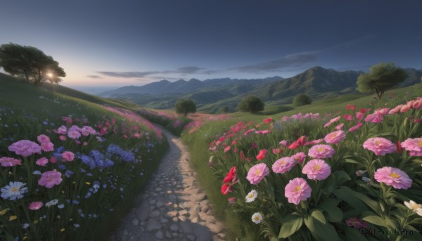 flower,outdoors,sky,day,cloud,tree,blue sky,no humans,grass,white flower,red flower,nature,scenery,pink flower,blue flower,mountain,purple flower,road,bush,field,flower field,landscape,mountainous horizon,path,cloudy sky,plant,forest,sunset,sunrise