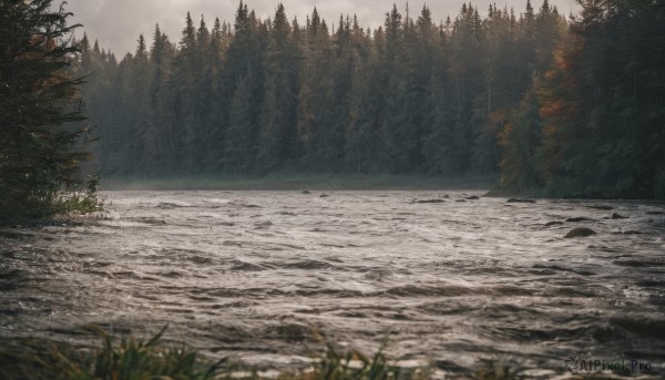 outdoors,sky,day,cloud,water,tree,no humans,grass,nature,scenery,snow,forest,river,landscape,grey sky,pine tree,blurry,cloudy sky,rock