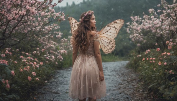 1girl, solo, long hair, brown hair, hair ornament, dress, closed eyes, flower, outdoors, wings, hair flower, from behind, white dress, tree, cherry blossoms, pink flower, realistic, fairy wings, head wreath, butterfly wings