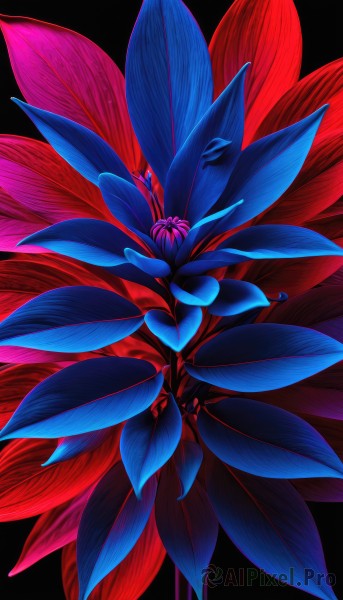 simple background,flower,no humans,leaf,plant,black background,blue flower,red theme,still life,signature,red flower,purple flower,morning glory