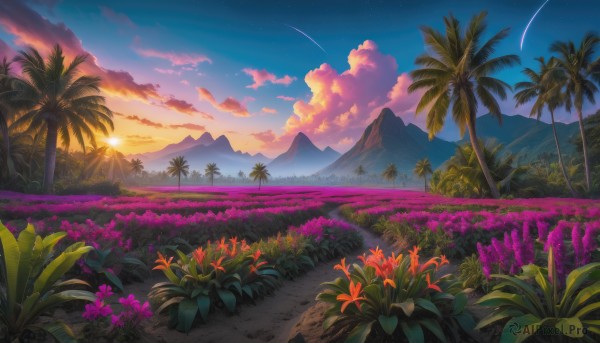 flower, outdoors, sky, cloud, tree, no humans, grass, plant, star (sky), nature, scenery, starry sky, sunset, mountain, palm tree, mountainous horizon, shooting star