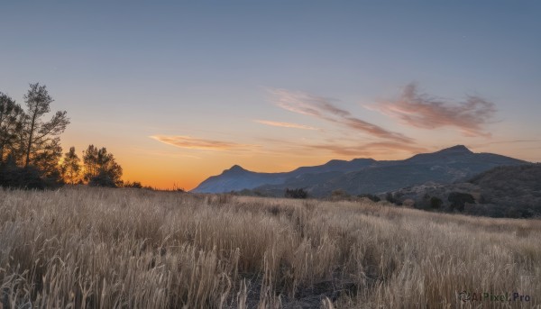 A magnificent landscape within sunset outdoors
