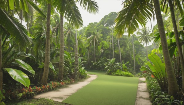 The elegance of a landscape in a idyllic day