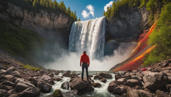 solo, 1boy, standing, jacket, male focus, outdoors, sky, day, pants, cloud, hood, water, from behind, tree, blue sky, nature, scenery, rock, mountain, waterfall, cliff