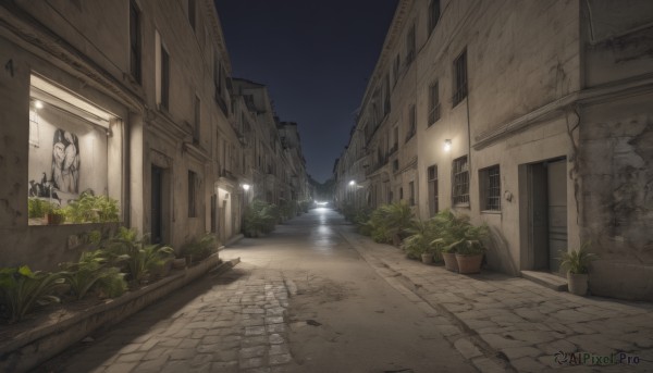 outdoors,sky,water,tree,no humans,window,night,plant,building,night sky,scenery,reflection,city,door,potted plant,road,lamppost,street,shadow,light,wall,statue,alley