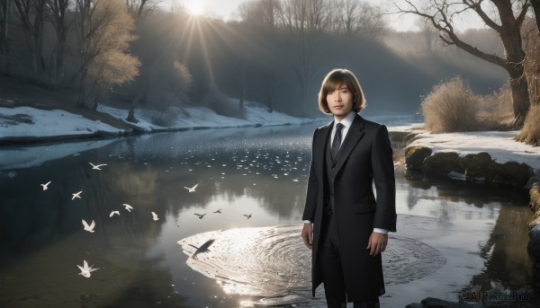 1girl,solo,looking at viewer,short hair,bangs,brown hair,shirt,long sleeves,brown eyes,closed mouth,standing,jacket,white shirt,outdoors,necktie,day,collared shirt,pants,water,tree,lips,coat,black jacket,bird,animal,black pants,formal,sunlight,bob cut,suit,nature,scenery,black necktie,reflection,black coat,rock,arms at sides,sun,bare tree,river,black suit,lake,fog,suit jacket,pant suit,reflective water,parted lips,sky,ground vehicle,motor vehicle,snow,car,road,winter