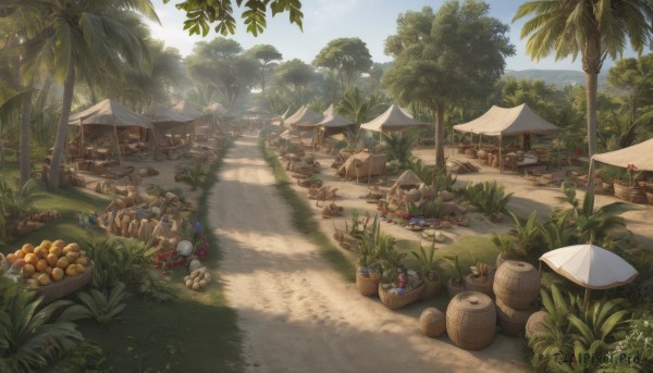 A garden captured in a tranquil day