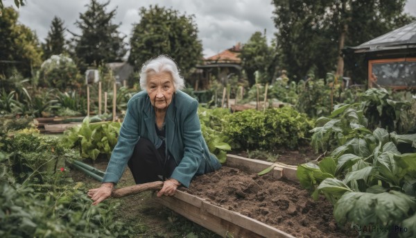 solo,looking at viewer,smile,blue eyes,shirt,long sleeves,1boy,sitting,jacket,white hair,male focus,outdoors,sky,day,pants,cloud,blurry,tree,facial hair,black pants,cloudy sky,plant,blue jacket,building,nature,scenery,beard,realistic,fence,house,old,old man,garden,1girl,short hair,leaf,forest,grey sky,old woman,wrinkled skin,denim jacket,pine tree