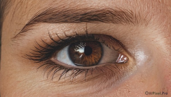 solo,looking at viewer,1boy,male focus,eyelashes,traditional media,close-up,1other,reflection,realistic,eye focus,brown theme