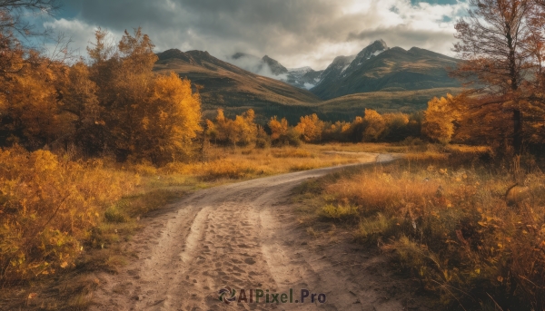 outdoors,sky,day,cloud,tree,blue sky,no humans,leaf,cloudy sky,grass,nature,scenery,forest,mountain,road,autumn leaves,field,autumn,landscape,path,signature,bare tree,mountainous horizon