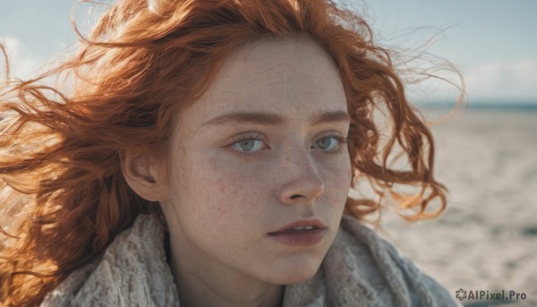 1girl,solo,long hair,looking at viewer,blue eyes,brown hair,outdoors,parted lips,sky,teeth,day,orange hair,blurry,blue sky,lips,floating hair,depth of field,blurry background,ocean,beach,wind,portrait,freckles,realistic,nose,open mouth,cloud,scarf,grey eyes,eyelashes,messy hair,close-up,horizon