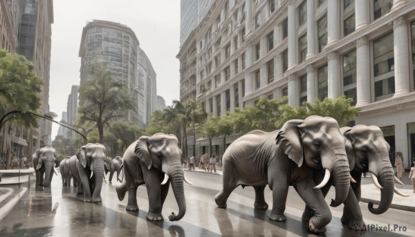 multiple girls,outdoors,horns,day,tree,no humans,animal,building,scenery,walking,6+boys,dog,city,road,lamppost,horse,street,crosswalk,cow,multiple boys,sky,ground vehicle,motor vehicle,reflection,monster,realistic,car,pig,oversized animal,people,elephant