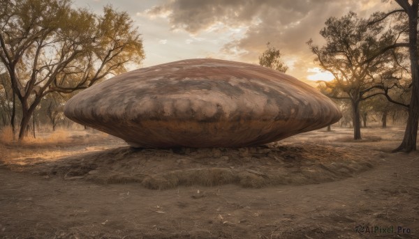 outdoors,sky,day,cloud,tree,no humans,sunlight,cloudy sky,grass,nature,scenery,forest,sunset,road,mushroom,water,fish,realistic,sand,whale