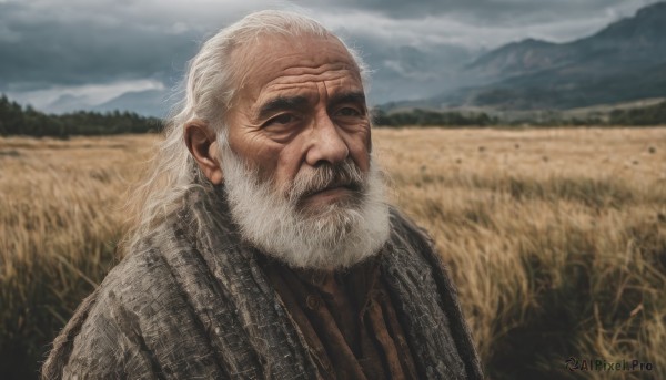 solo,long hair,1boy,closed mouth,upper body,white hair,male focus,outdoors,sky,day,cloud,blurry,blurry background,facial hair,scar,cloudy sky,beard,scar on face,mountain,realistic,mustache,scar across eye,field,old,old man,looking at viewer,thick eyebrows,grass,manly,wrinkled skin