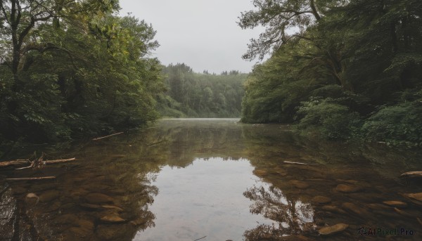 outdoors,sky,day,cloud,water,tree,no humans,leaf,sunlight,grass,nature,scenery,forest,reflection,river,landscape,lake,watercraft,boat