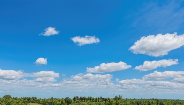 outdoors,sky,day,cloud,tree,blue sky,no humans,cloudy sky,nature,scenery,forest,grass,field,summer