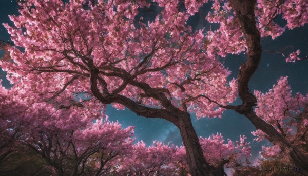 A unique subject showcased in a tranquil outdoors
