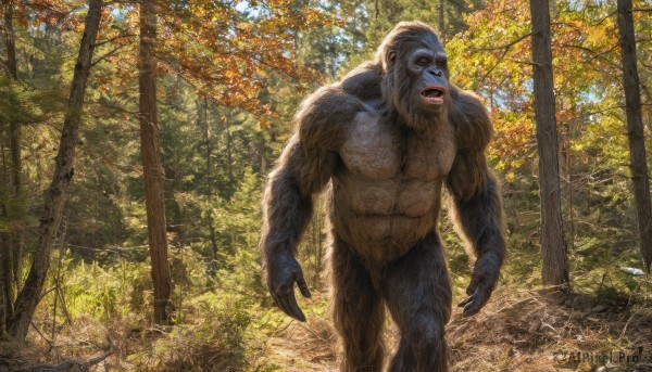 A refreshing image of a male in day