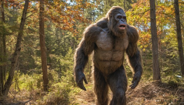 solo,open mouth,red eyes,1boy,male focus,outdoors,teeth,day,tree,no humans,muscular,colored skin,facial hair,leaf,sunlight,nature,beard,forest,walking,monster,realistic,blue skin,chest hair,alien,fangs,claws