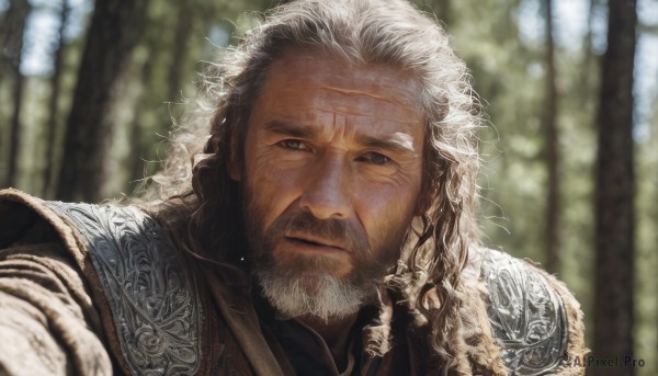 solo,long hair,looking at viewer,1boy,closed mouth,upper body,white hair,male focus,outdoors,day,armor,blurry,black eyes,tree,grey eyes,depth of field,blurry background,facial hair,scar,portrait,nature,beard,scar on face,forest,curly hair,realistic,mustache,scar across eye,old,old man,wrinkled skin,brown hair,weapon,fur trim,close-up,chainmail