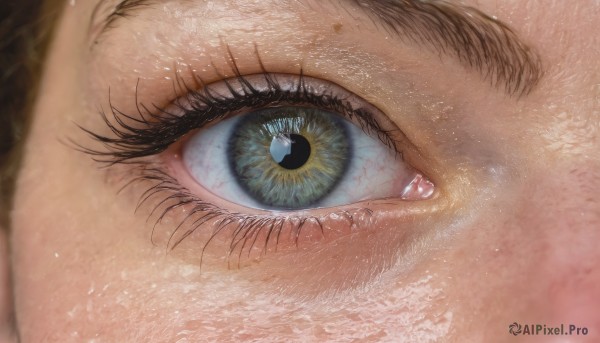 1girl,solo,looking at viewer,blue eyes,brown hair,blurry,lips,eyelashes,close-up,1other,reflection,realistic,ambiguous gender,eye focus,black hair,1boy,green eyes,yellow eyes,male focus,multiple boys,2boys