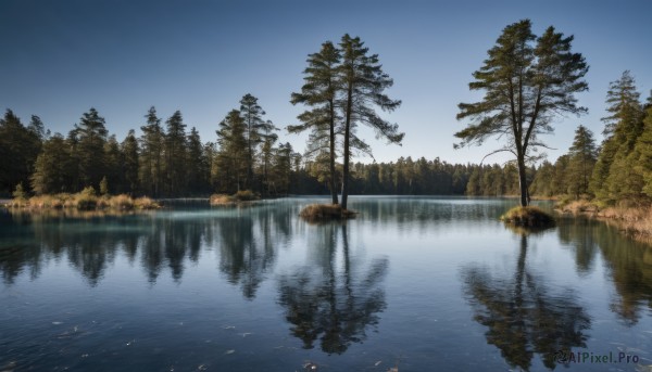 outdoors,sky,day,cloud,water,tree,blue sky,no humans,nature,scenery,forest,reflection,river,lake,reflective water,grass,landscape