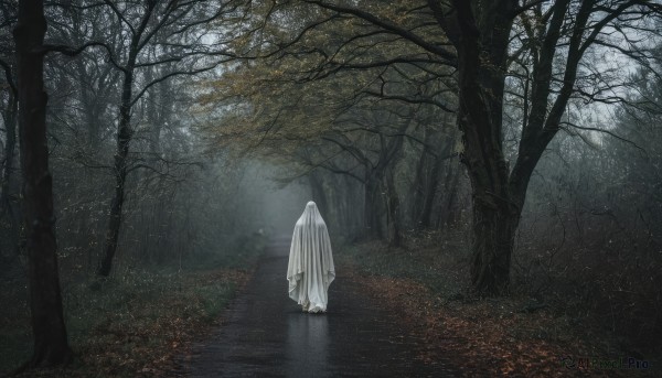 solo,standing,outdoors,hood,tree,no humans,leaf,nature,scenery,cloak,1other,forest,ghost,robe,autumn leaves,bare tree,fog,long hair,very long hair,white hair,water,colored skin,grass,road