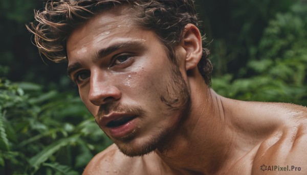 solo,looking at viewer,short hair,brown hair,1boy,male focus,outdoors,parted lips,blurry,black eyes,lips,blurry background,facial hair,thick eyebrows,portrait,nature,beard,close-up,topless male,realistic,nose,mustache,black hair,brown eyes,manly