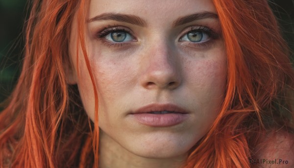 1girl,solo,long hair,looking at viewer,brown eyes,green eyes,red hair,parted lips,teeth,orange hair,blurry,lips,grey eyes,eyelashes,blurry background,portrait,close-up,freckles,realistic,nose,watermark