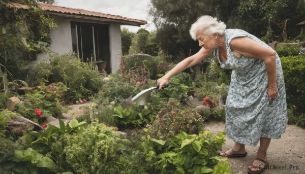 1girl,solo,short hair,1boy,dress,holding,flower,white hair,male focus,outdoors,dark skin,tree,leaning forward,sandals,plant,nature,realistic,house,old,ladle,watering can,garden,breasts,standing,closed eyes,sleeveless,day,white dress,from side,sleeveless dress,leaf,knife,holding knife