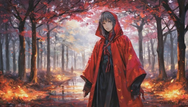 1girl,solo,long hair,looking at viewer,bangs,black hair,long sleeves,dress,standing,braid,grey hair,outdoors,hood,water,tree,sleeves past wrists,grey eyes,leaf,fire,nature,scenery,cloak,hood up,forest,reflection,autumn leaves,maple leaf,hooded cloak,autumn,falling leaves,red cloak,red hood,gloves,parted lips,day,black gloves,twin braids,hair over shoulder