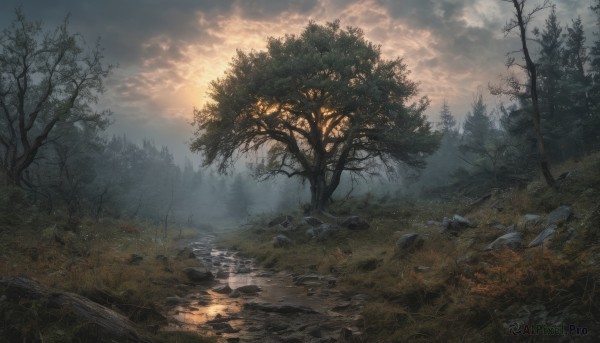 A unique view of a landscape in sunset day