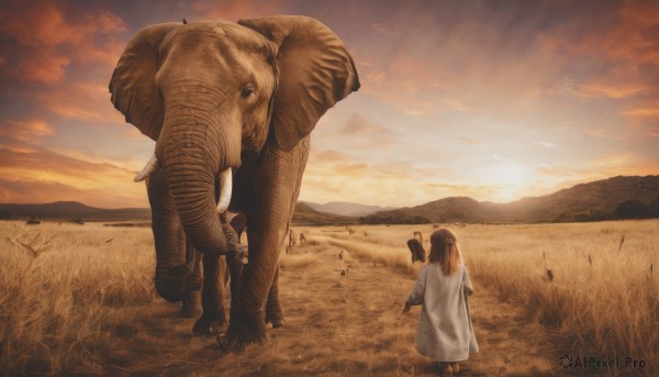 1girl,long hair,brown hair,holding,standing,ponytail,outdoors,multiple boys,sky,cloud,from behind,animal,grass,child,scenery,carrying,sunset,monster,mountain,facing away,field,1boy,dress,white dress,cloudy sky,holding animal,orange sky