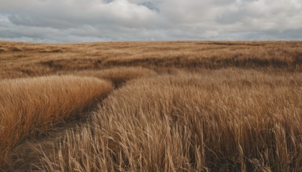 A landscape surrounded by a serene day