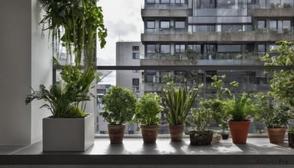 outdoors,sky,day,cloud,tree,no humans,window,sunlight,plant,building,scenery,rain,city,potted plant,cityscape,flower pot,watermark