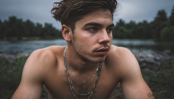 solo,short hair,brown hair,black hair,1boy,brown eyes,jewelry,closed mouth,upper body,male focus,outdoors,day,water,necklace,blurry,tree,lips,looking to the side,blurry background,facial hair,looking away,thick eyebrows,nature,beard,topless male,realistic,stubble,chest hair,river,lake,earrings,sky,muscular,depth of field,pectorals,muscular male,portrait,bara,mature male,mustache,arm hair