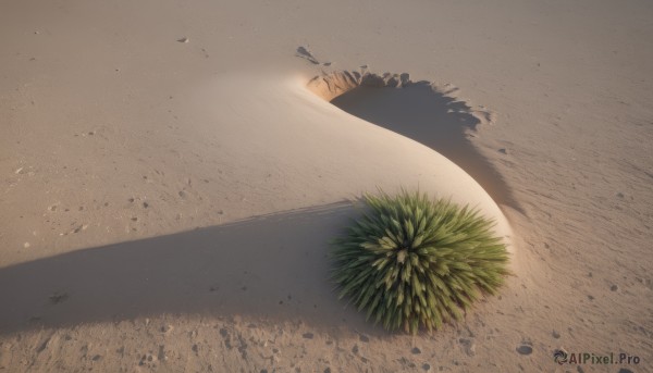 A unique subject in a tranquil outdoors