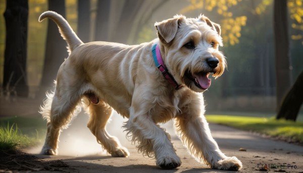 The elegance of a dog in a tranquil day