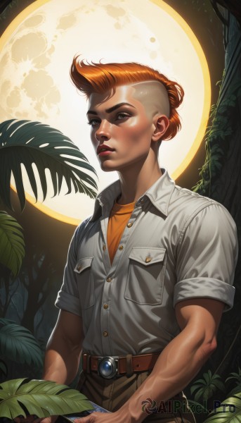 solo,looking at viewer,short hair,brown hair,shirt,1boy,holding,brown eyes,short sleeves,male focus,red hair,outdoors,parted lips,collared shirt,belt,pants,hair bun,orange hair,tree,lips,night,buttons,leaf,scar,moon,single hair bun,thick eyebrows,plant,nature,buckle,full moon,sleeves rolled up,freckles,pocket,belt buckle,realistic,nose,breast pocket,dirty,artist name,undercut,mohawk