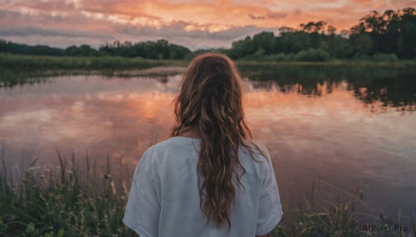 1girl,solo,long hair,brown hair,shirt,1boy,white shirt,upper body,short sleeves,male focus,outdoors,sky,cloud,water,from behind,blurry,tree,wavy hair,cloudy sky,grass,t-shirt,nature,scenery,reflection,sunset,facing away,river,lake,plant,curly hair,evening,reflective water