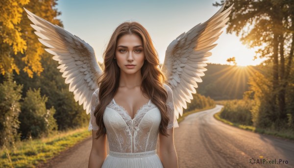 A vivid sunset day showcasing a female