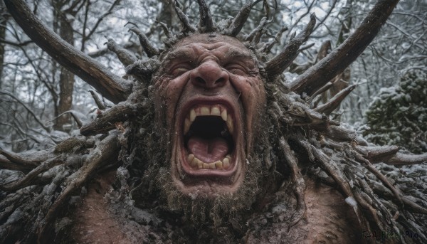 solo,open mouth,closed eyes,outdoors,horns,teeth,tongue,tree,no humans,fangs,sharp teeth,nature,snow,spikes,forest,monster,realistic,bare tree,horror (theme),screaming,uvula,1boy,upper body,male focus,facing viewer,antlers,giant