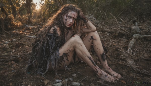 1girl,solo,long hair,breasts,looking at viewer,brown hair,black hair,sitting,closed mouth,full body,outdoors,barefoot,pointy ears,tree,lips,torn clothes,blood,sunlight,nature,forest,injury,hand on own head,on ground,dirty,dirty feet,dress,jewelry,black dress,makeup,messy hair,veil,knees up,blood on face,red lips,dirty face