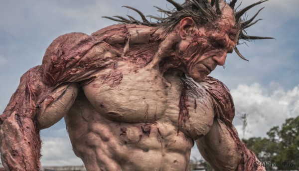 solo,black hair,1boy,closed mouth,nipples,upper body,male focus,outdoors,sky,day,cloud,blurry,blood,muscular,scar,abs,cloudy sky,pectorals,muscular male,veins,topless male,realistic,manly,veiny arms,horns,tree,blue sky,looking to the side,blurry background,monster,extra eyes