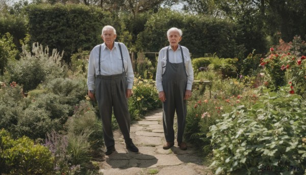 The wonder of a garden in a peaceful day