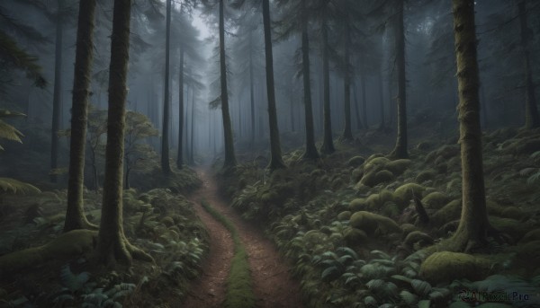 The elegance of a landscape in a tranquil rainy outdoors